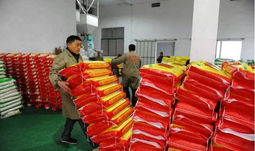 農業技術推廣的發展方向探討